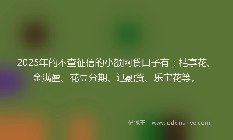 2025年的不查征信的小额网贷口子有:桔享花、金满盈、花豆分期、迅融贷、乐宝花等。
