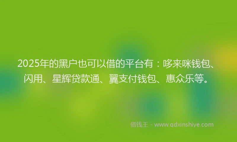 2025年的黑户也可以借的平台有：哆来咪钱包、闪用、星辉贷款通、翼支付钱包、惠众乐等。