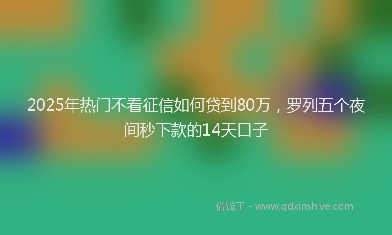 2025年热门不看征信如何贷到80万，罗列五个夜间秒下款的14天口子