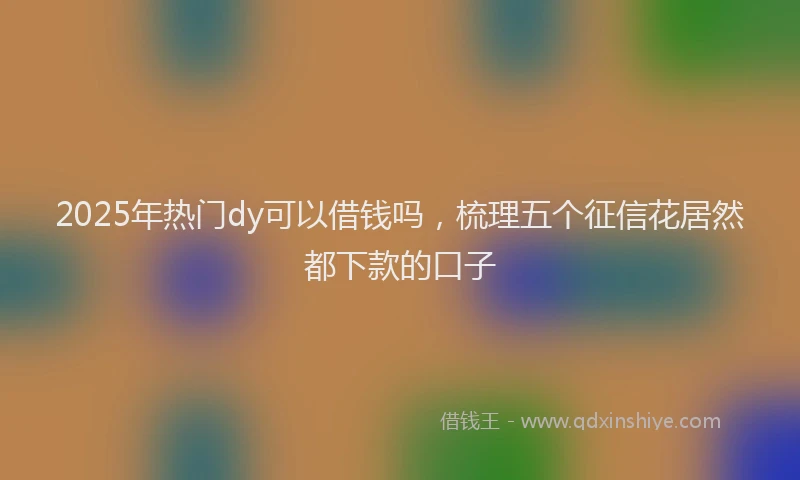 2025年热门dy可以借钱吗，梳理五个征信花居然都下款的口子