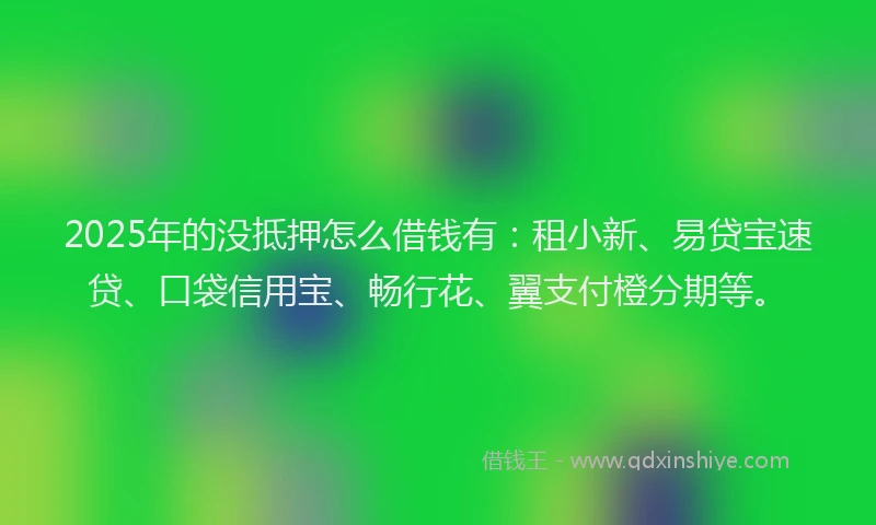 2025年的没抵押怎么借钱有：租小新、易贷宝速贷、口袋信用宝、畅行花、翼支付橙分期等。