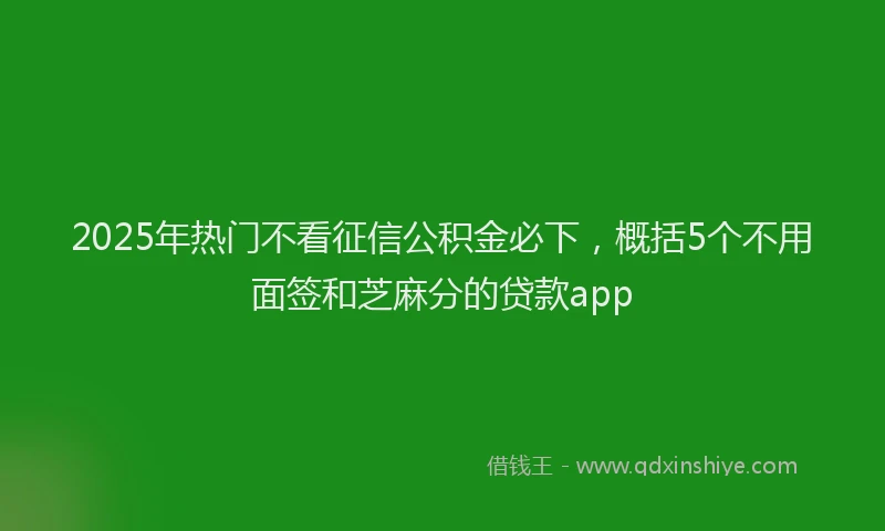 2025年热门不看征信公积金必下，概括5个不用面签和芝麻分的贷款app