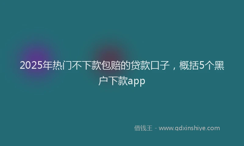 2025年热门不下款包赔的贷款口子，概括5个黑户下款app