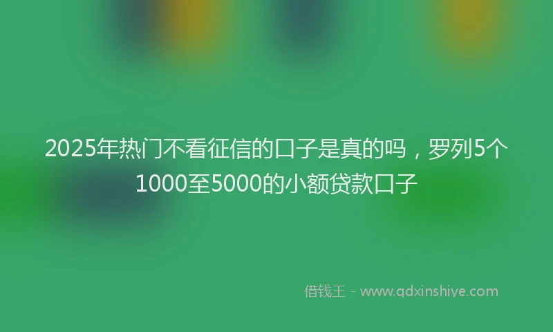 2025年热门不看征信的口子是真的吗，罗列5个1000至5000的小额贷款口子