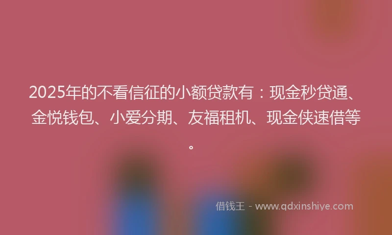 2025年的不看信征的小额贷款有：现金秒贷通、金悦钱包、小爱分期、友福租机、现金侠速借等。