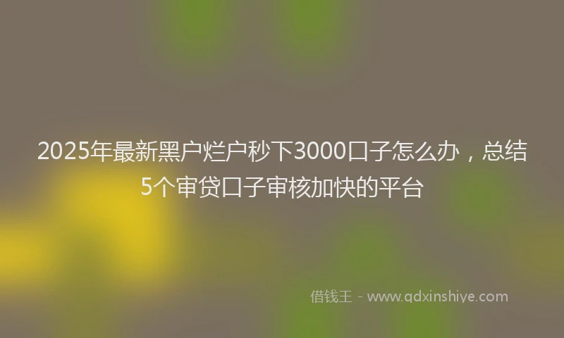 2025年最新黑户烂户秒下3000口子怎么办，总结5个审贷口子审核加快的平台