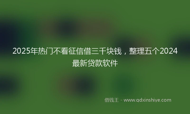2025年热门不看征信借三千块钱，整理五个2024最新贷款软件
