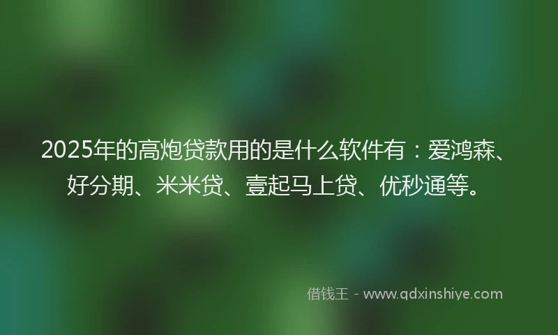 2025年的高炮贷款用的是什么软件有：爱鸿森、好分期、米米贷、壹起马上贷、优秒通等。