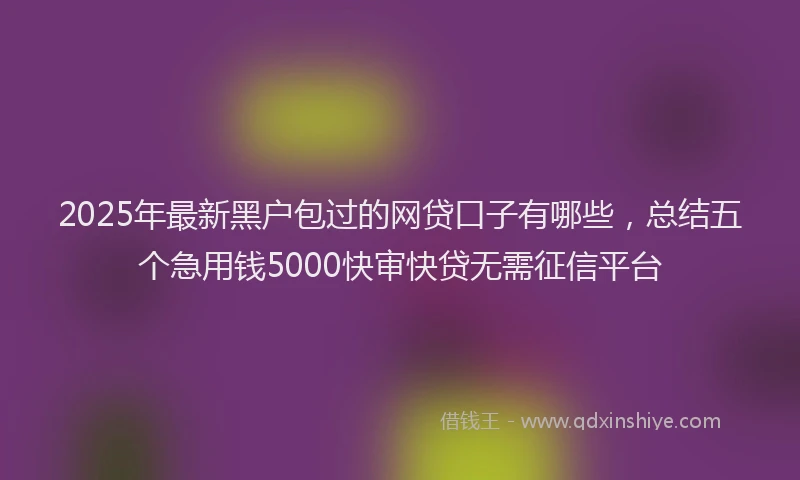 2025年最新黑户包过的网贷口子有哪些，总结五个急用钱5000快审快贷无需征信平台