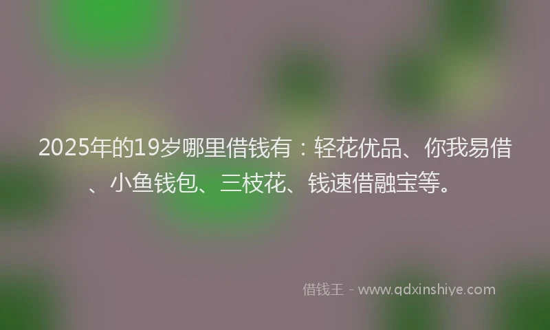 2025年的19岁哪里借钱有：轻花优品、你我易借、小鱼钱包、三枝花、钱速借融宝等。