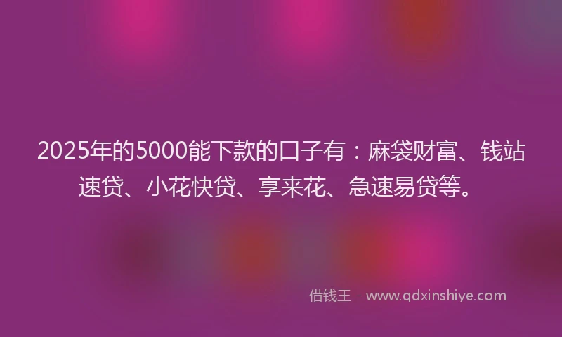 2025年的5000能下款的口子有：麻袋财富、钱站速贷、小花快贷、享来花、急速易贷等。