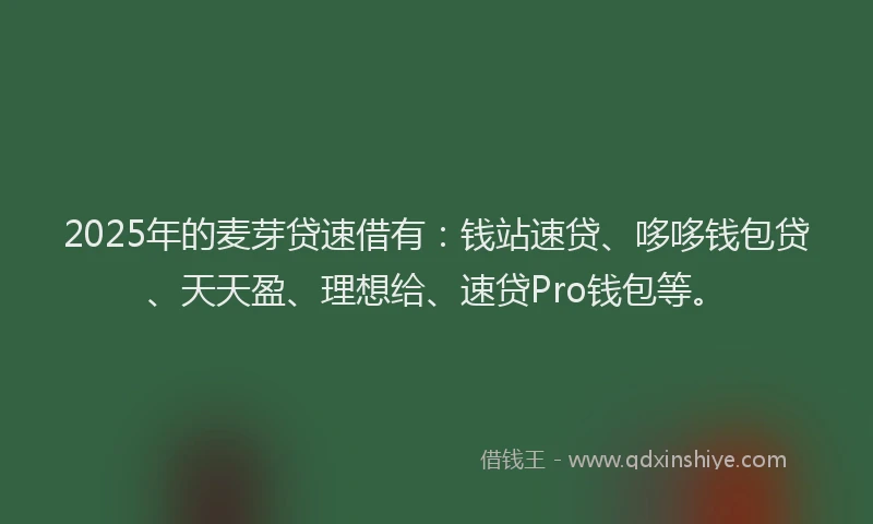 2025年的麦芽贷速借有：钱站速贷、哆哆钱包贷、天天盈、理想给、速贷Pro钱包等。