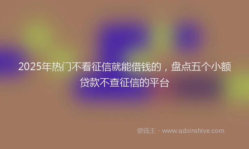 2025年热门不看征信就能借钱的，盘点五个小额贷款不查征信的平台