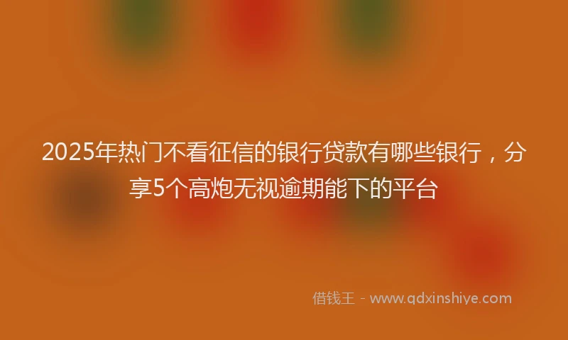 2025年热门不看征信的银行贷款有哪些银行，分享5个高炮无视逾期能下的平台