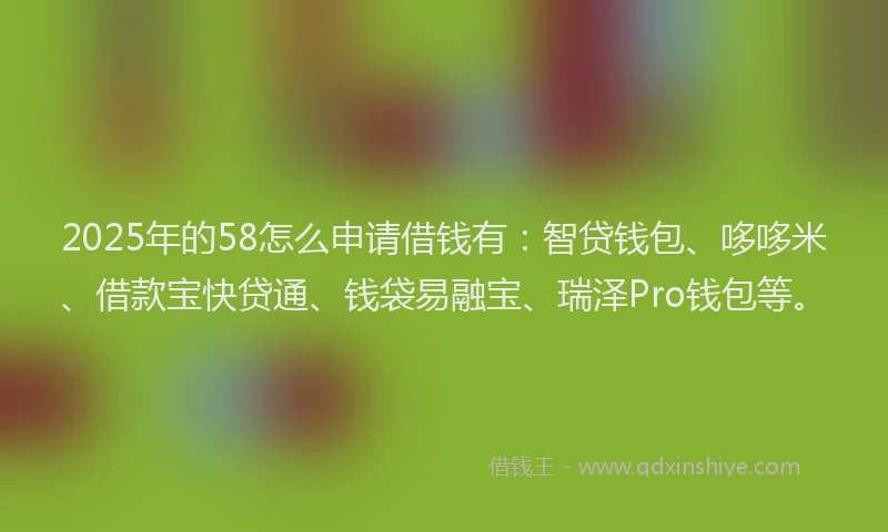 2025年的58怎么申请借钱有：智贷钱包、哆哆米、借款宝快贷通、钱袋易融宝、瑞泽Pro钱包等。