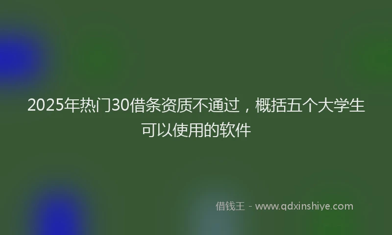 2025年热门30借条资质不通过，概括五个大学生可以使用的软件