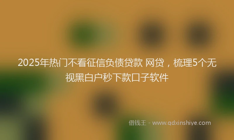 2025年热门不看征信负债贷款 网贷，梳理5个无视黑白户秒下款口子软件