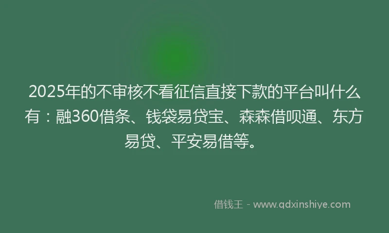 2025年的不审核不看征信直接下款的平台叫什么有:融360借条、钱袋易贷宝、森森借呗通、东方易贷、平安易借等。