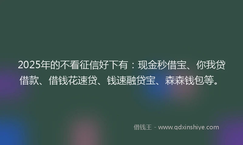 2025年的不看征信好下有：现金秒借宝、你我贷借款、借钱花速贷、钱速融贷宝、森森钱包等。