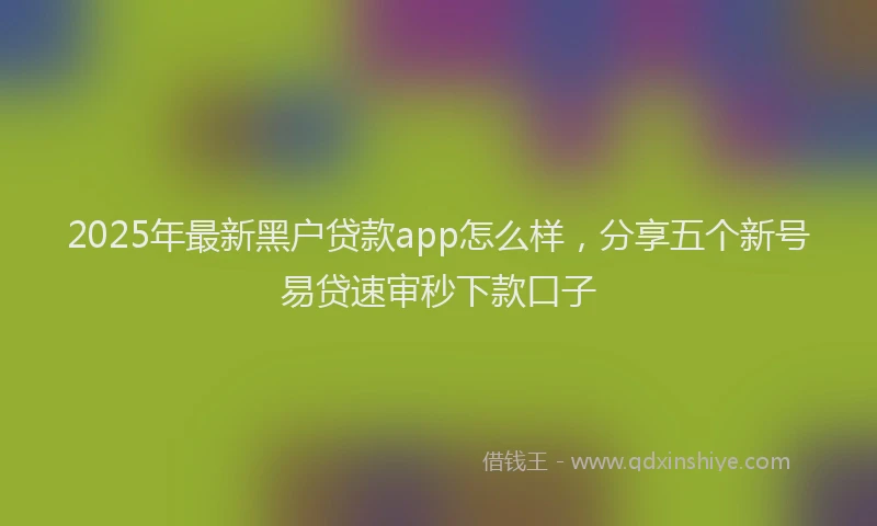 2025年最新黑户贷款app怎么样，分享五个新号易贷速审秒下款口子