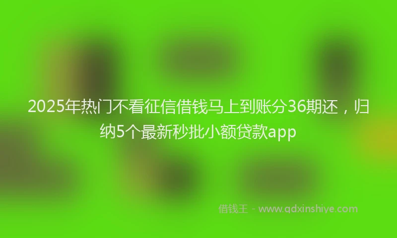 2025年热门不看征信借钱马上到账分36期还，归纳5个最新秒批小额贷款app
