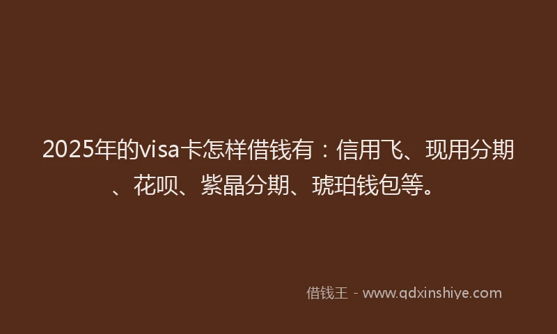 2025年的visa卡怎样借钱有：信用飞、现用分期、花呗、紫晶分期、琥珀钱包等。