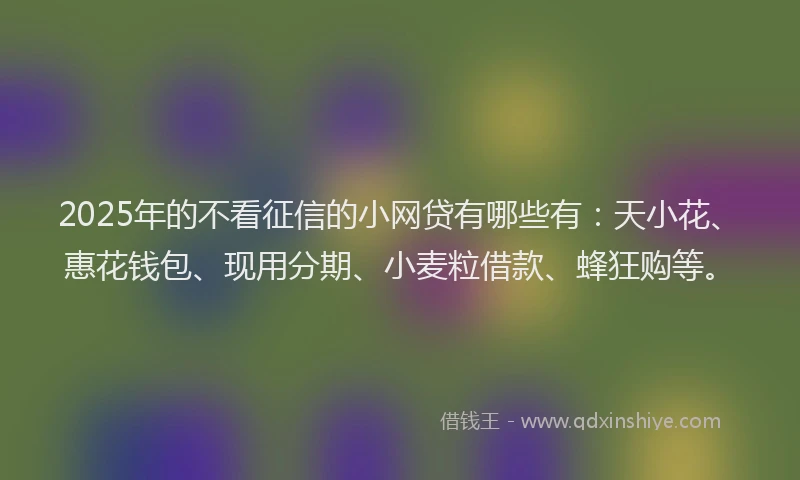 2025年的不看征信的小网贷有哪些有：天小花、惠花钱包、现用分期、小麦粒借款、蜂狂购等。