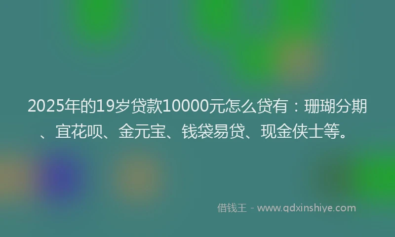 2025年的19岁贷款10000元怎么贷有：珊瑚分期、宜花呗、金元宝、钱袋易贷、现金侠士等。