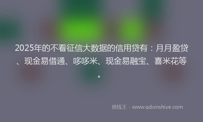 2025年的不看征信大数据的信用贷有：月月盈贷、现金易借通、哆哆米、现金易融宝、喜米花等。