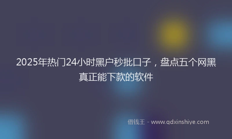 2025年热门24小时黑户秒批口子，盘点五个网黑真正能下款的软件