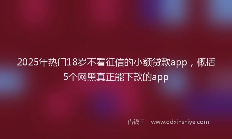 2025年热门18岁不看征信的小额贷款app，概括5个网黑真正能下款的app