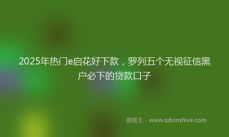 2025年热门e启花好下款，罗列五个无视征信黑户必下的贷款口子