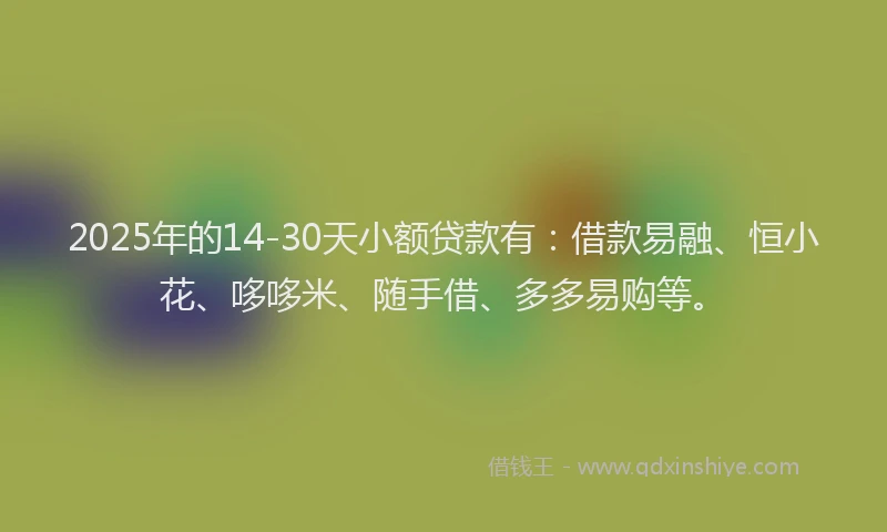 2025年的14-30天小额贷款有：借款易融、恒小花、哆哆米、随手借、多多易购等。