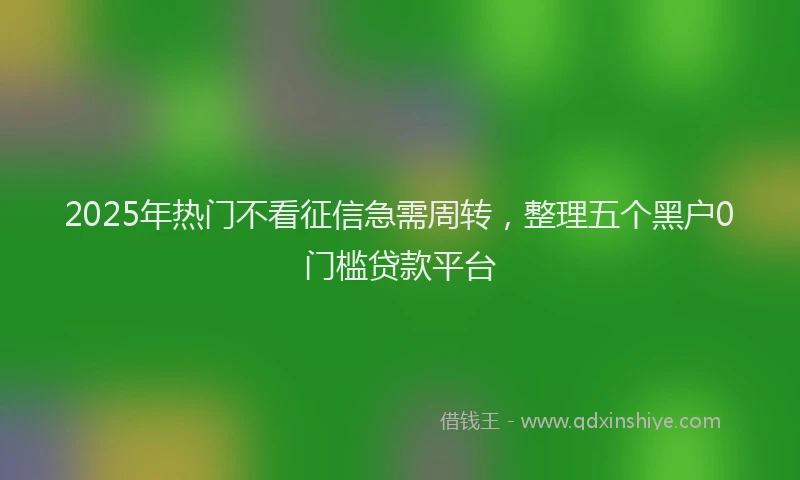 2025年热门不看征信急需周转，整理五个黑户0门槛贷款平台