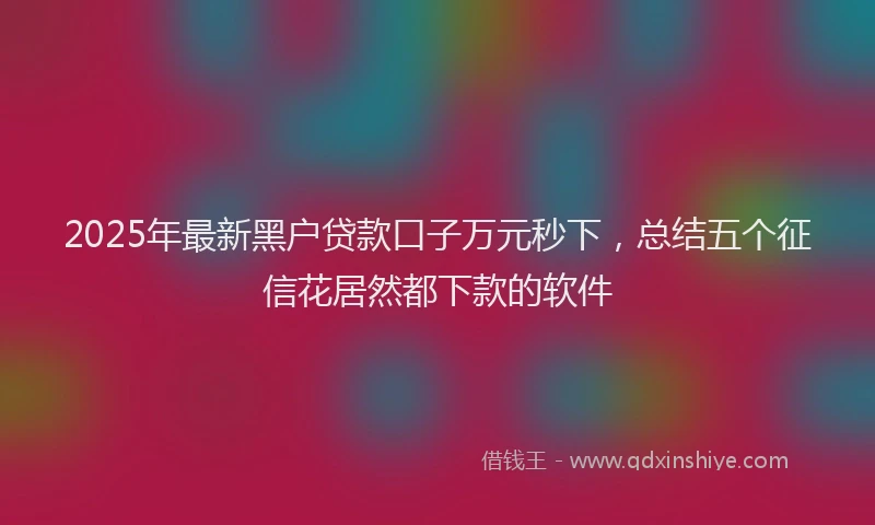 2025年最新黑户贷款口子万元秒下，总结五个征信花居然都下款的软件