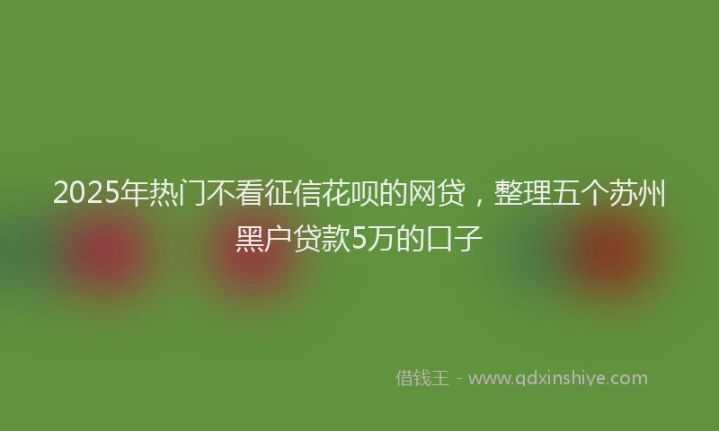 2025年热门不看征信花呗的网贷，整理五个苏州黑户贷款5万的口子