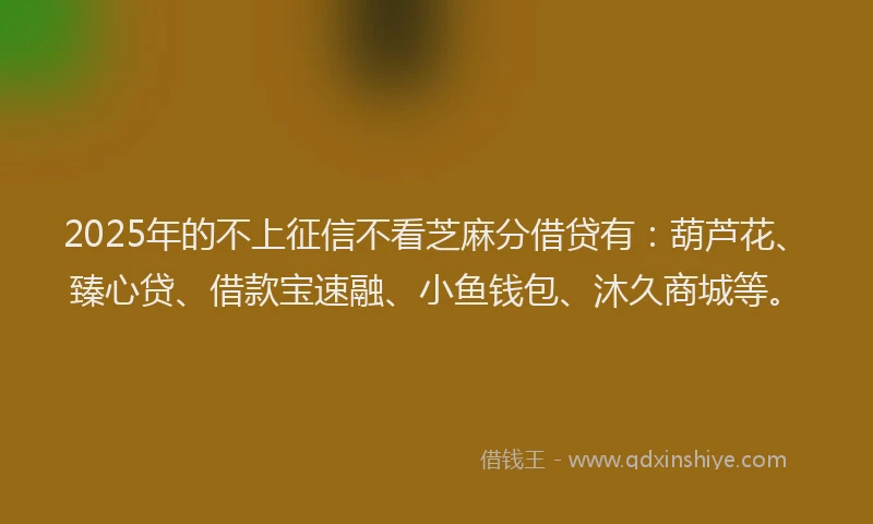 2025年的不上征信不看芝麻分借贷有：葫芦花、臻心贷、借款宝速融、小鱼钱包、沐久商城等。