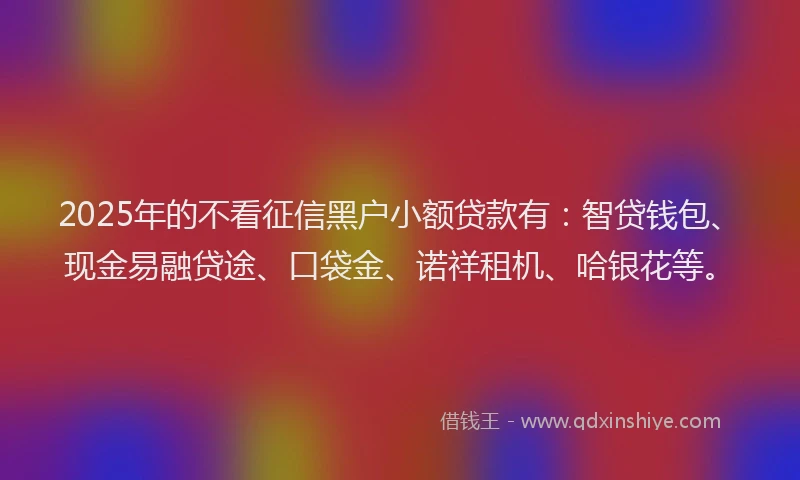 2025年的不看征信黑户小额贷款有：智贷钱包、现金易融贷途、口袋金、诺祥租机、哈银花等。