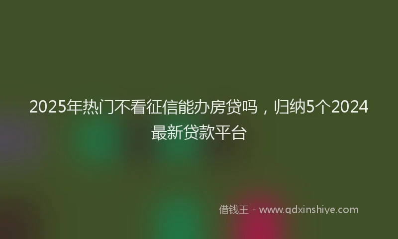 2025年热门不看征信能办房贷吗，归纳5个2024最新贷款平台
