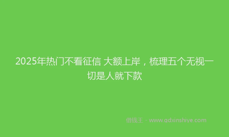 2025年热门不看征信 大额上岸，梳理五个无视一切是人就下款