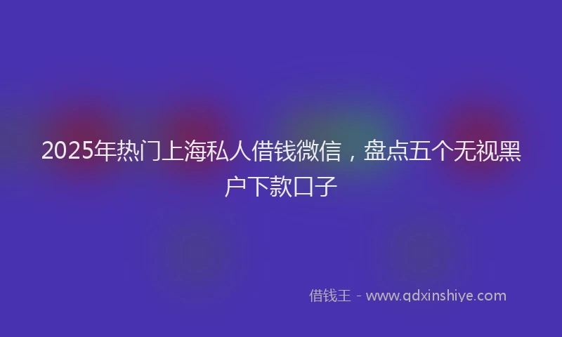 2025年热门上海私人借钱微信，盘点五个无视黑户下款口子