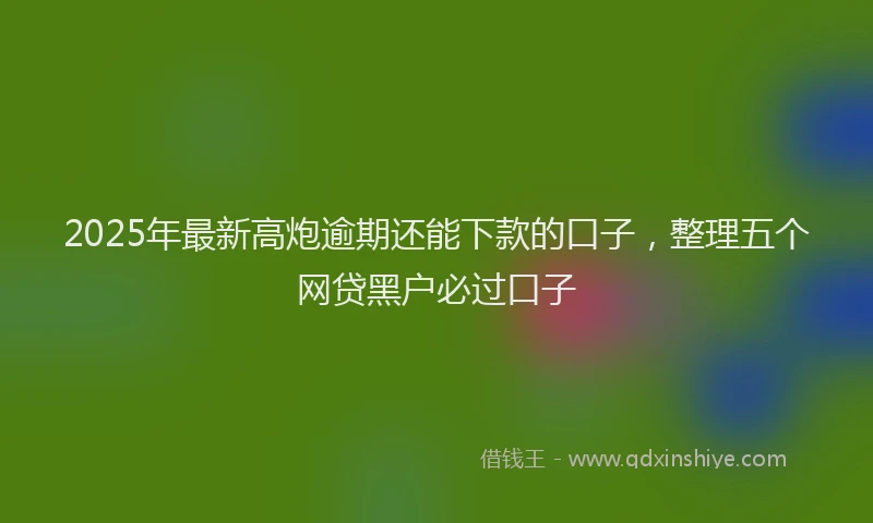 2025年最新高炮逾期还能下款的口子，整理五个网贷黑户必过口子
