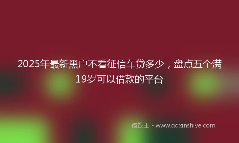 2025年最新黑户不看征信车贷多少，盘点五个满19岁可以借款的平台