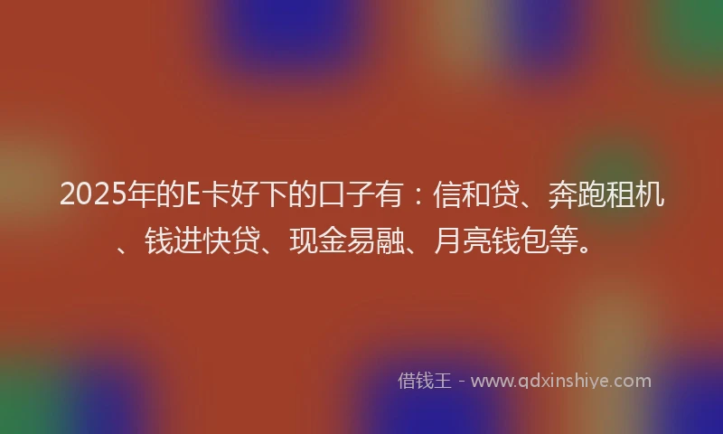2025年的E卡好下的口子有：信和贷、奔跑租机、钱进快贷、现金易融、月亮钱包等。