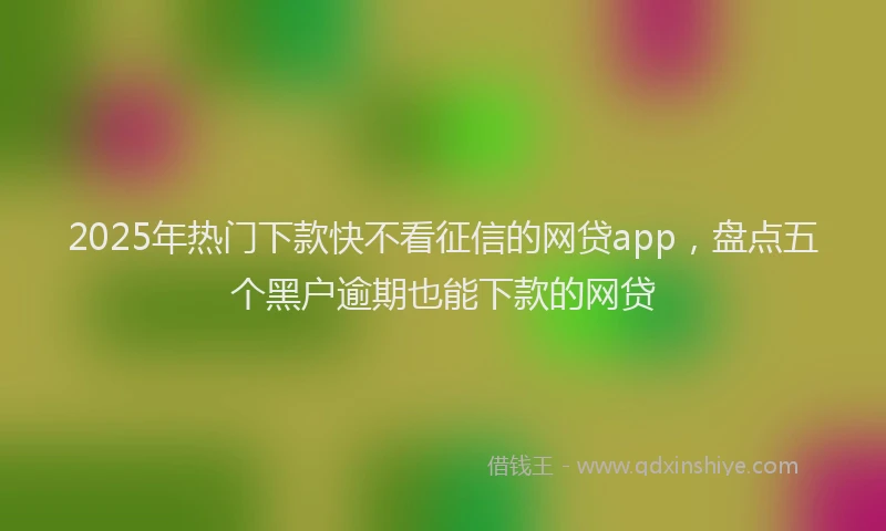 2025年热门下款快不看征信的网贷app，盘点五个黑户逾期也能下款的网贷