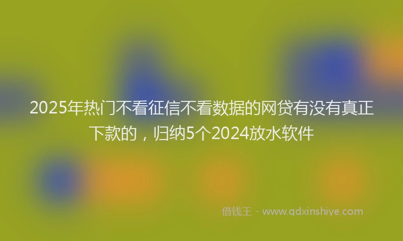 2025年热门不看征信不看数据的网贷有没有真正下款的，归纳5个2024放水软件
