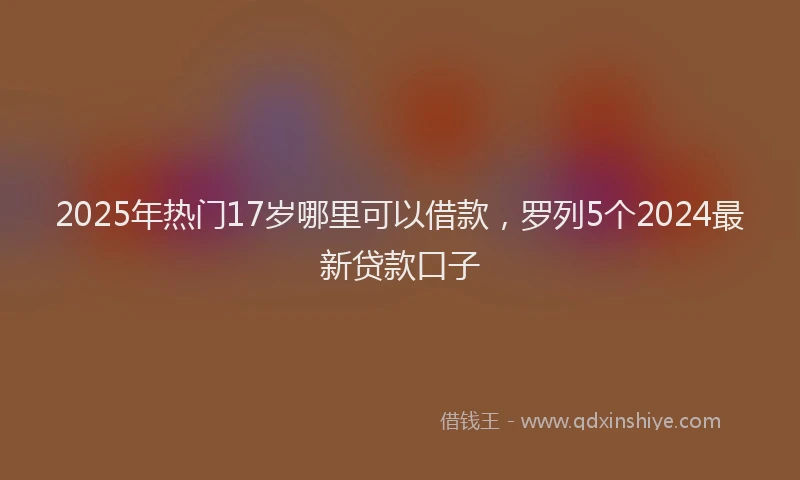 2025年热门17岁哪里可以借款，罗列5个2024最新贷款口子