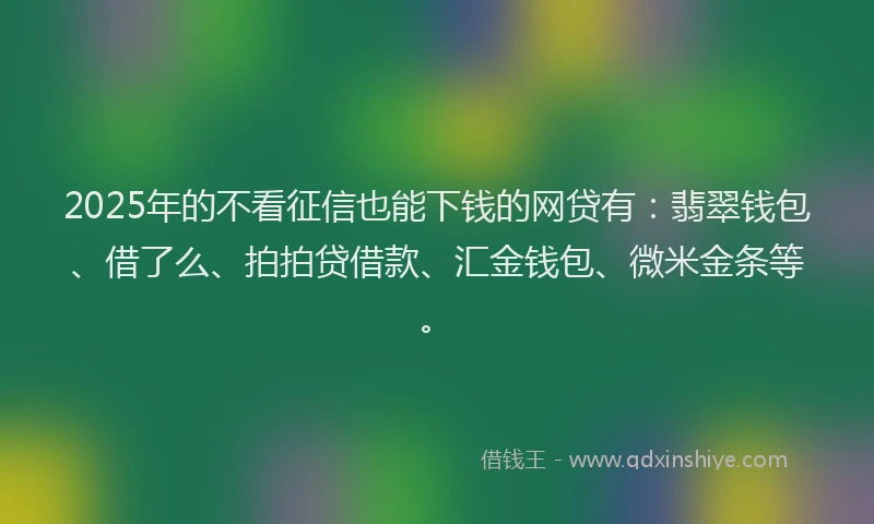 2025年的不看征信也能下钱的网贷有：翡翠钱包、借了么、拍拍贷借款、汇金钱包、微米金条等。