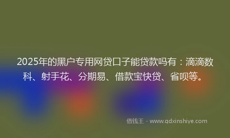 2025年的黑户专用网贷口子能贷款吗有：滴滴数科、射手花、分期易、借款宝快贷、省呗等。