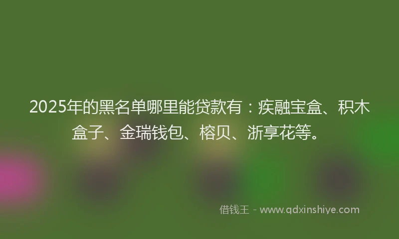 2025年的黑名单哪里能贷款有：疾融宝盒、积木盒子、金瑞钱包、榕贝、浙享花等。